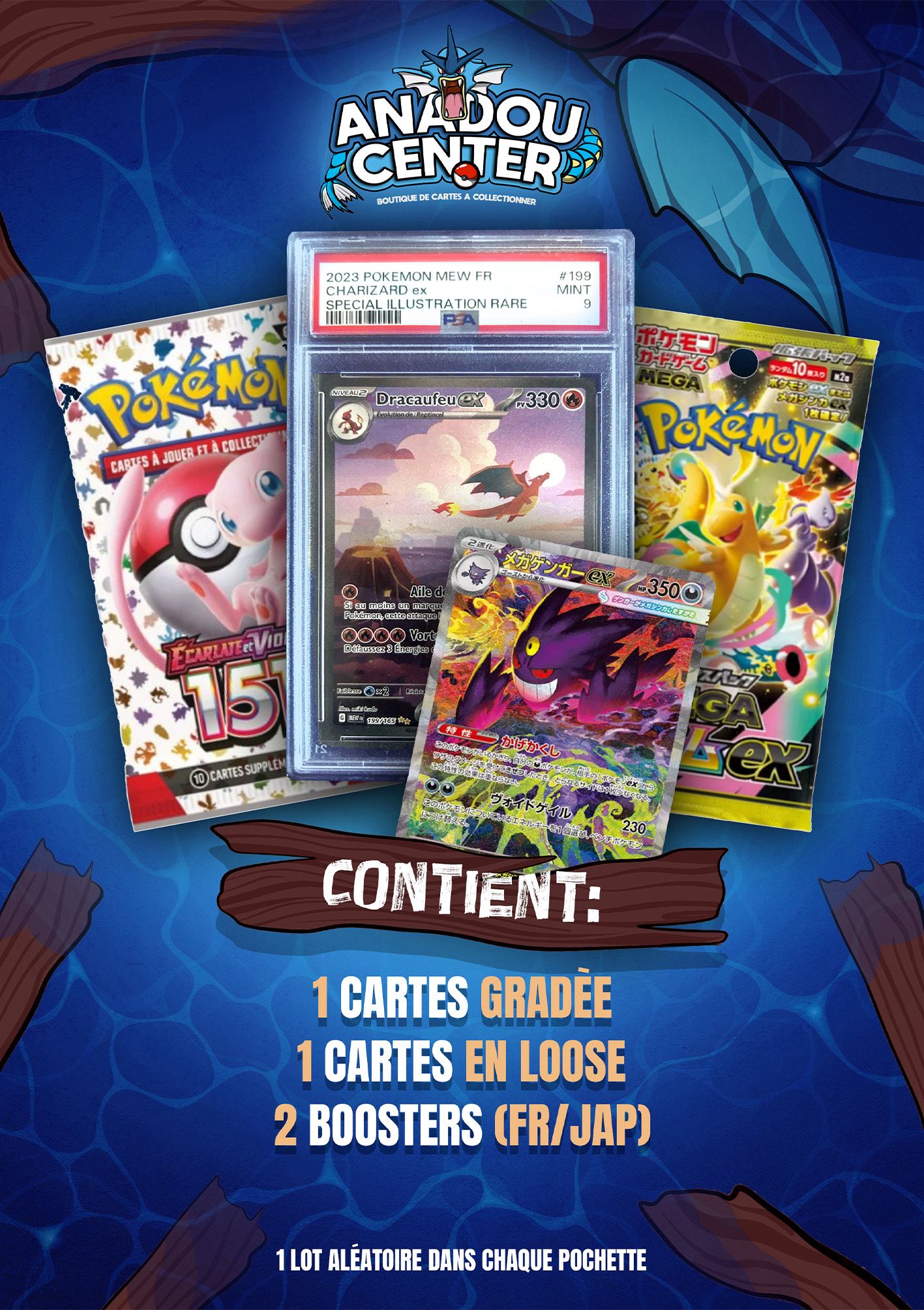 POCHETTE MYSTÈRE ANADOU POKEMON