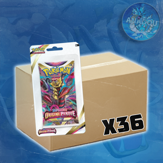 CASE DE BLISTERS - EB11